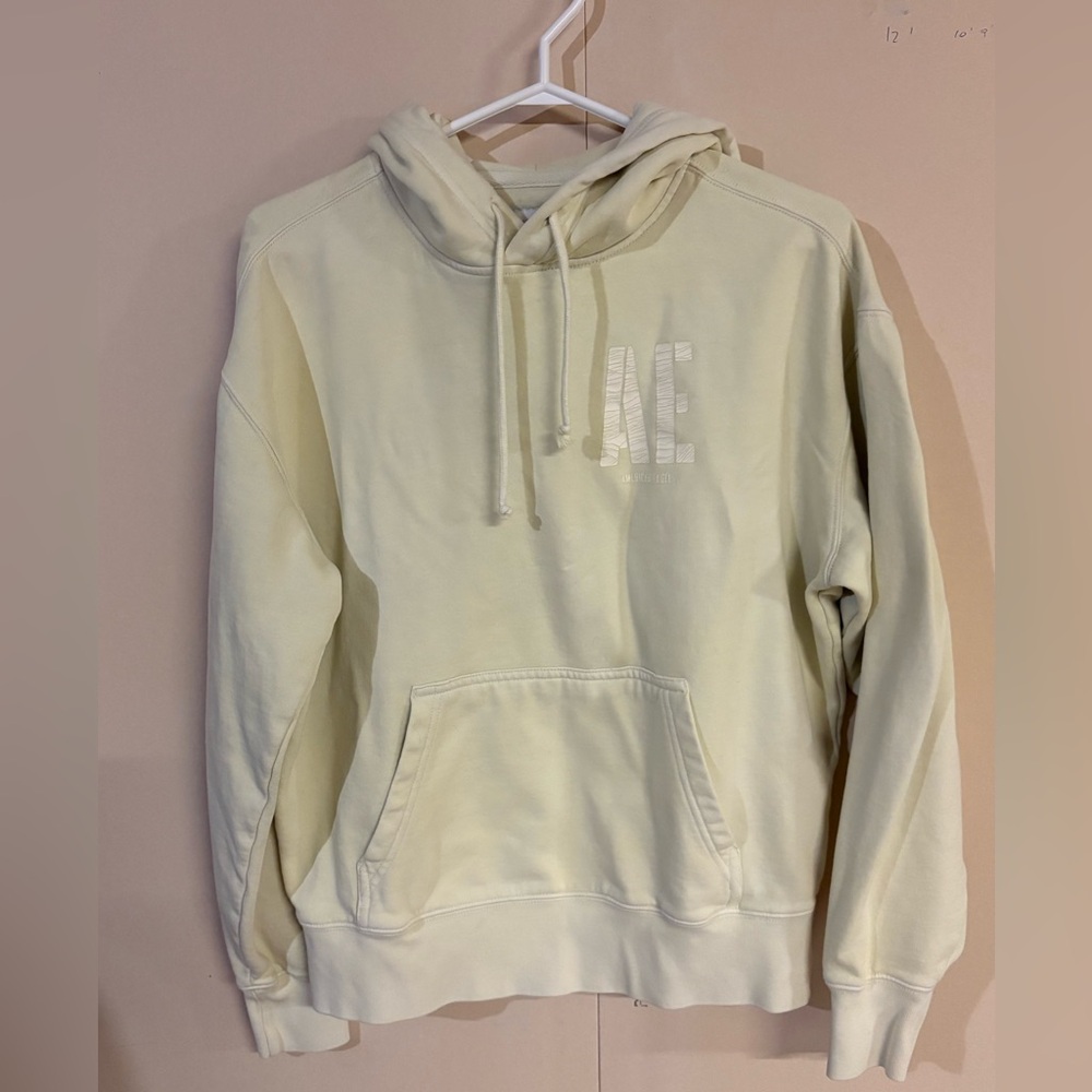 American Eagle Outfitters Women’s  Light Green Hoodie